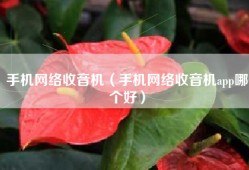 手机网络收音机（手机网络收音机app哪个好）