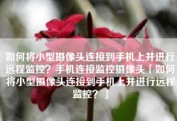 如何将小型摄像头连接到手机上并进行远程监控？手机连接监控摄像头「如何将小型摄像头连接到手机上并进行远程监控？」