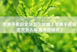 苹果手机自定义怎么设置（苹果手机自定义怎么设置渐进模式）