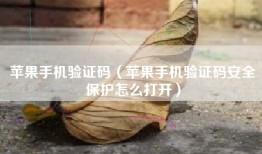 苹果手机验证码（苹果手机验证码安全保护怎么打开）