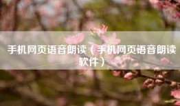 手机网页语音朗读（手机网页语音朗读软件）