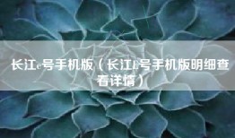 长江e号手机版（长江E号手机版明细查看详情）