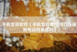 手机变音软件（手机变音软件,可以在接听电话时录音吗）