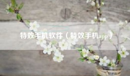 特效手机软件（特效手机app）