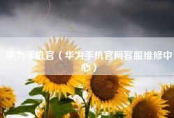 华为手机官（华为手机官网客服维修中心）