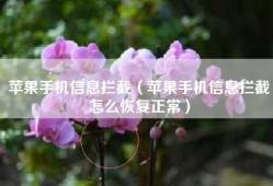 苹果手机信息拦截（苹果手机信息拦截怎么恢复正常）