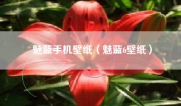 魅蓝手机壁纸（魅蓝6壁纸）