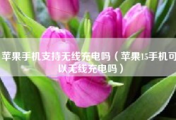 苹果手机支持无线充电吗（苹果15手机可以无线充电吗）