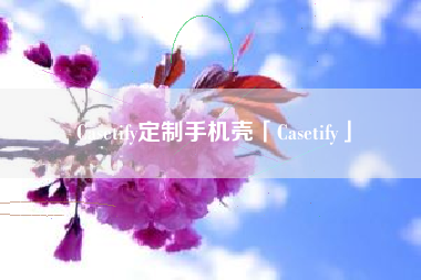 Casetify定制手机壳「Casetify」