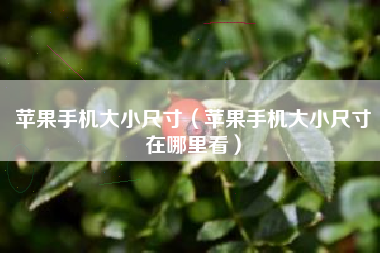 苹果手机大小尺寸（苹果手机大小尺寸在哪里看）