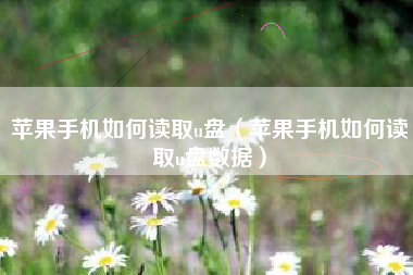 苹果手机如何读取u盘（苹果手机如何读取u盘数据）