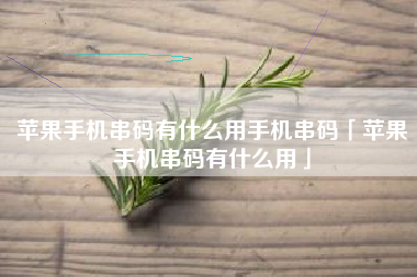 苹果手机串码有什么用手机串码「苹果手机串码有什么用」